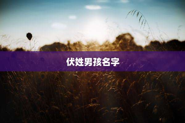伏姓男孩名字
