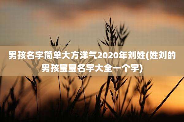 男孩名字简单大方洋气2020年刘姓(姓刘的男孩宝宝名字大全一个字)
