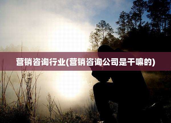 营销咨询行业(营销咨询公司是干嘛的)
