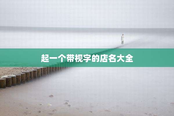 起一个带视字的店名大全