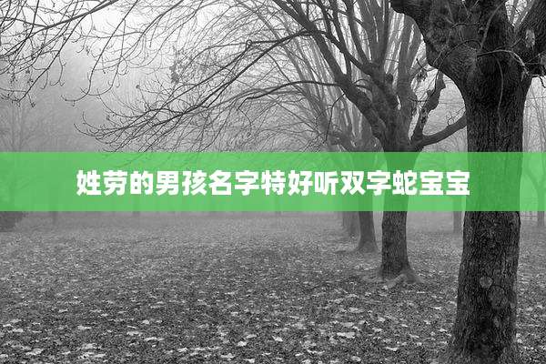 姓劳的男孩名字特好听双字蛇宝宝