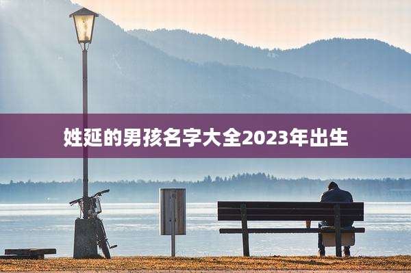 姓延的男孩名字大全2023年出生