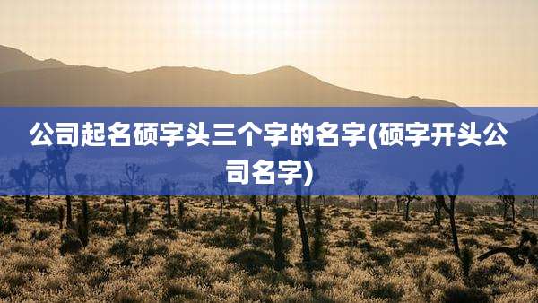 公司起名硕字头三个字的名字(硕字开头公司名字)
