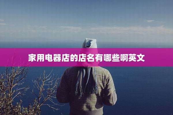 家用电器店的店名有哪些啊英文