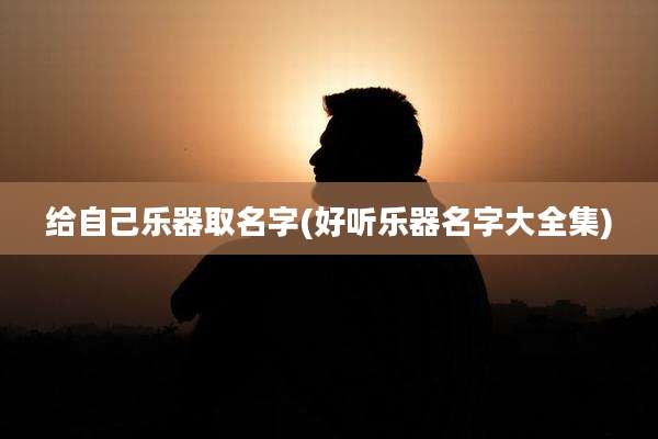 给自己乐器取名字(好听乐器名字大全集)
