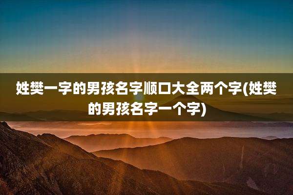 姓樊一字的男孩名字顺口大全两个字(姓樊的男孩名字一个字)