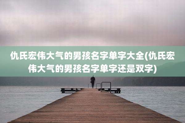 仇氏宏伟大气的男孩名字单字大全(仇氏宏伟大气的男孩名字单字还是双字)