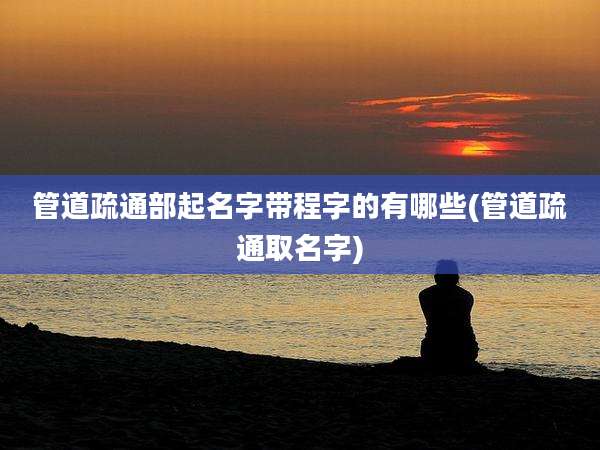 管道疏通部起名字带程字的有哪些(管道疏通取名字)