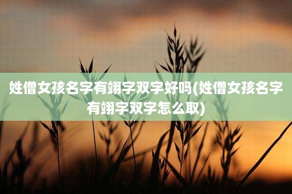姓僧女孩名字有翊字双字好吗(姓僧女孩名字有翊字双字怎么取)
