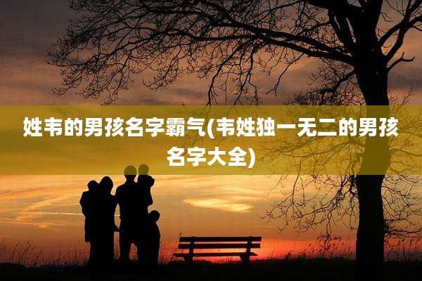 姓韦的男孩名字霸气(韦姓独一无二的男孩名字大全)
