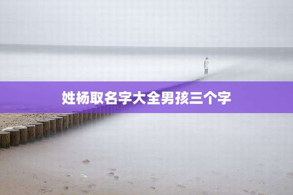 姓杨取名字大全男孩三个字