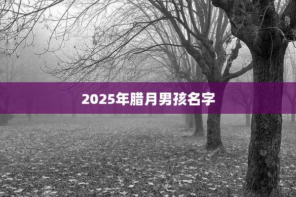 2025年腊月男孩名字
