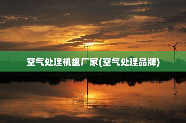 空气处理机组厂家(空气处理品牌)