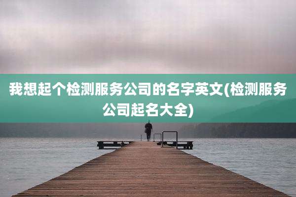 我想起个检测服务公司的名字英文(检测服务公司起名大全)