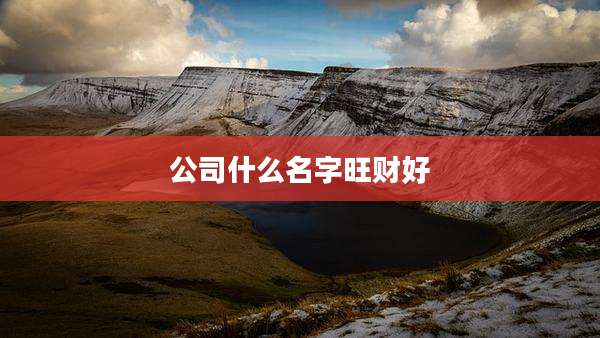 公司什么名字旺财好