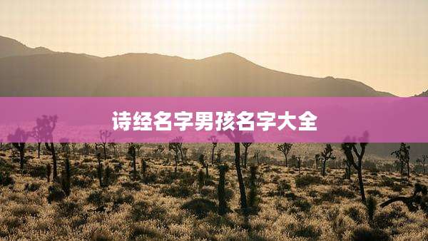 诗经名字男孩名字大全