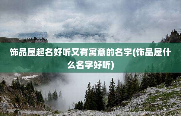 饰品屋起名好听又有寓意的名字(饰品屋什么名字好听)