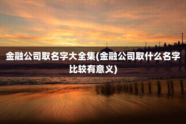 金融公司取名字大全集(金融公司取什么名字比较有意义)