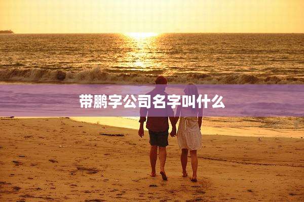 带鹏字公司名字叫什么