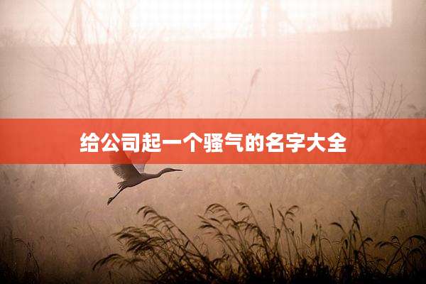 给公司起一个骚气的名字大全