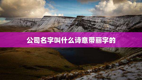 公司名字叫什么诗意带丽字的