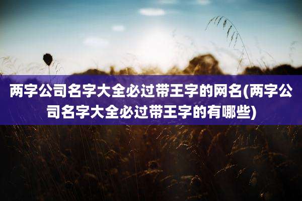 两字公司名字大全必过带王字的网名(两字公司名字大全必过带王字的有哪些)