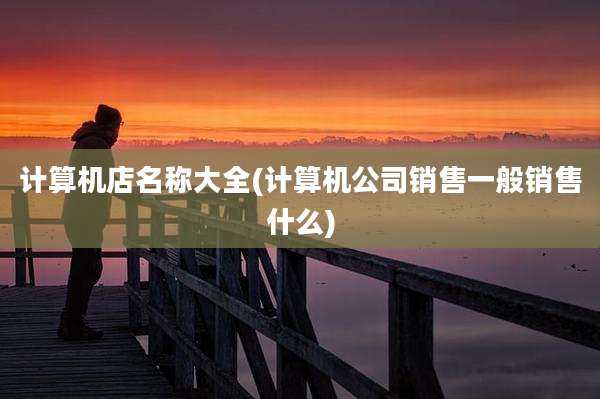 计算机店名称大全(计算机公司销售一般销售什么)