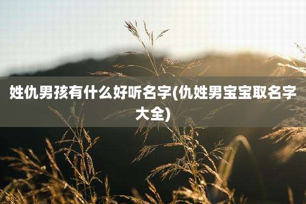 姓仇男孩有什么好听名字(仇姓男宝宝取名字大全)