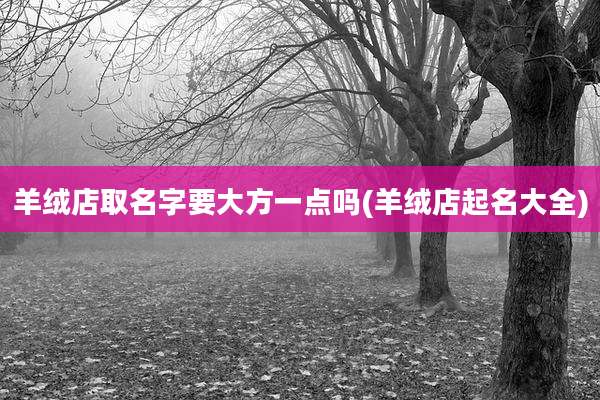 羊绒店取名字要大方一点吗(羊绒店起名大全)