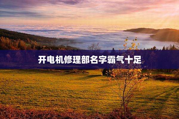 开电机修理部名字霸气十足