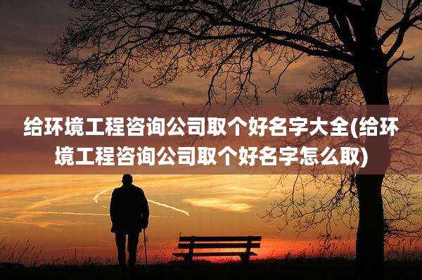 给环境工程咨询公司取个好名字大全(给环境工程咨询公司取个好名字怎么取)