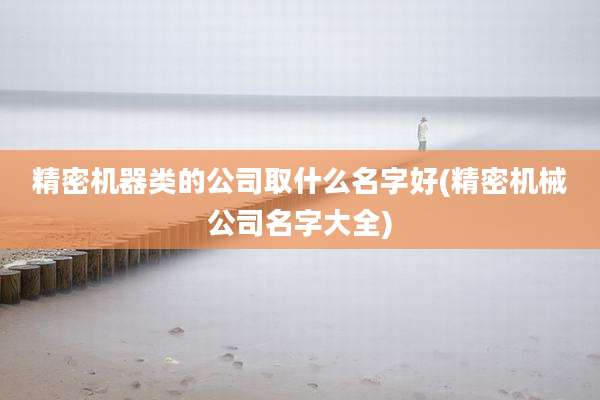 精密机器类的公司取什么名字好(精密机械公司名字大全)