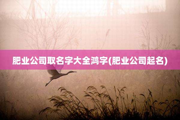 肥业公司取名字大全鸿字(肥业公司起名)