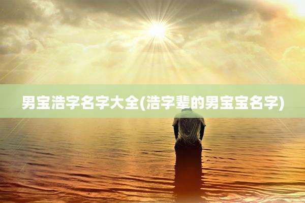 男宝浩字名字大全(浩字辈的男宝宝名字)