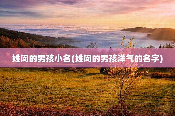 姓闵的男孩小名(姓闵的男孩洋气的名字)