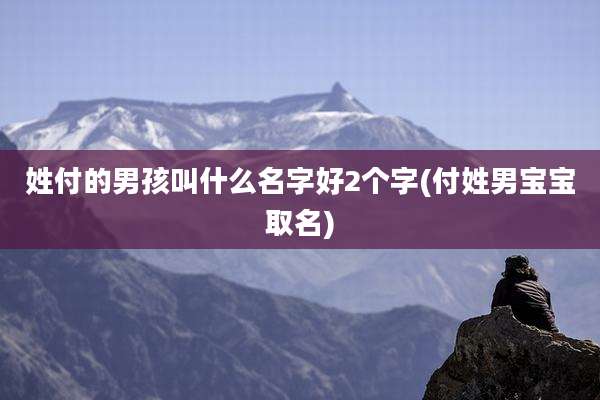 姓付的男孩叫什么名字好2个字(付姓男宝宝取名)