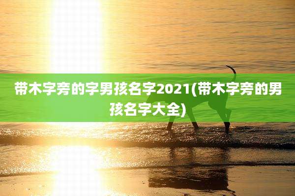 带木字旁的字男孩名字2021(带木字旁的男孩名字大全)