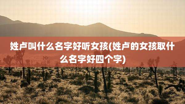 姓卢叫什么名字好听女孩(姓卢的女孩取什么名字好四个字)