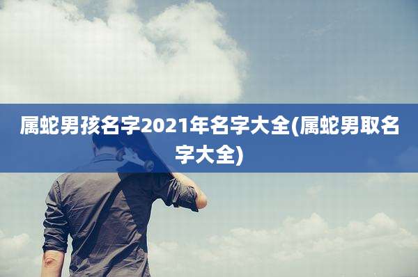 属蛇男孩名字2021年名字大全(属蛇男取名字大全)