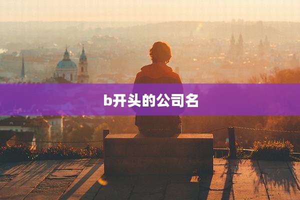 b开头的公司名