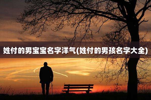姓付的男宝宝名字洋气(姓付的男孩名字大全)