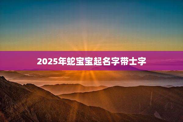2025年蛇宝宝起名字带士字