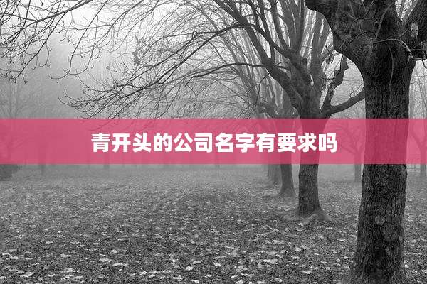 青开头的公司名字有要求吗