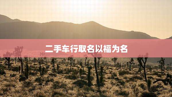 二手车行取名以福为名