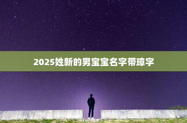 2025姓新的男宝宝名字带璋字