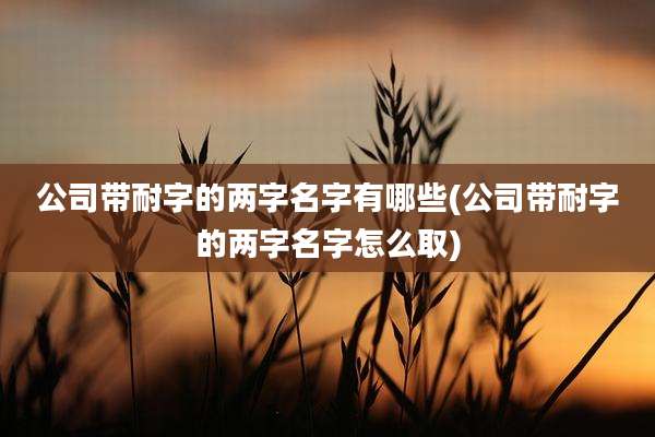公司带耐字的两字名字有哪些(公司带耐字的两字名字怎么取)