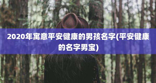 2020年寓意平安健康的男孩名字(平安健康的名字男宝)