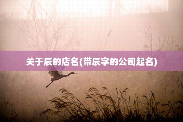 关于辰的店名(带辰字的公司起名)