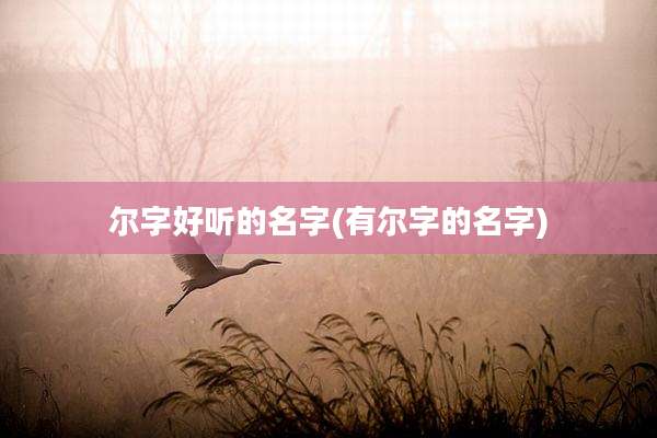 尔字好听的名字(有尔字的名字)