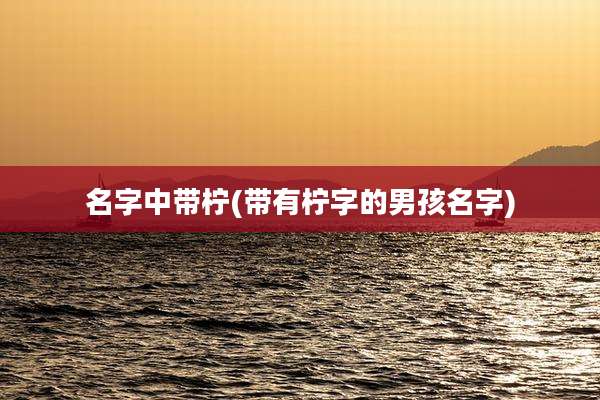 名字中带柠(带有柠字的男孩名字)
